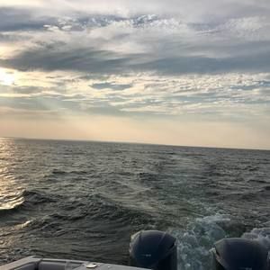 Meet your Posher, Rex